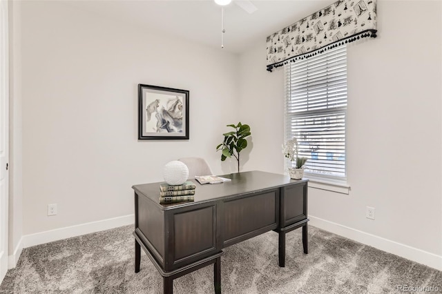 office space with ceiling fan, carpet, and baseboards