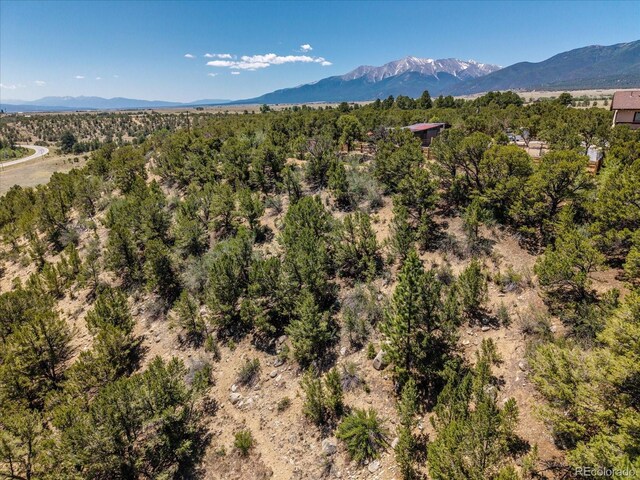 33077 US Highway 24, Buena Vista, CO 81211 - photo 31
