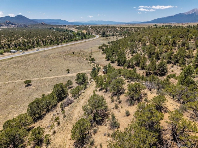 33077 US Highway 24, Buena Vista, CO 81211 - photo 37