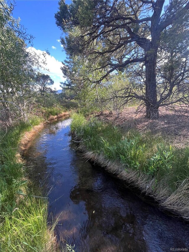 33077 US Highway 24, Buena Vista, CO 81211 - photo 4