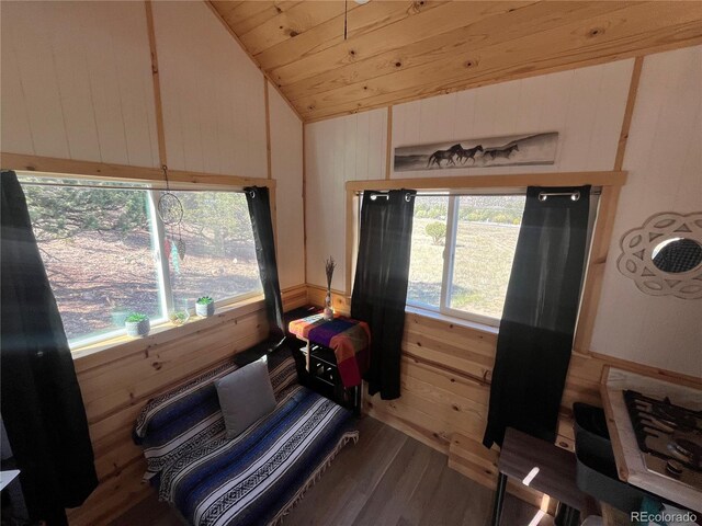 33077 US Highway 24, Buena Vista, CO 81211 - photo 18