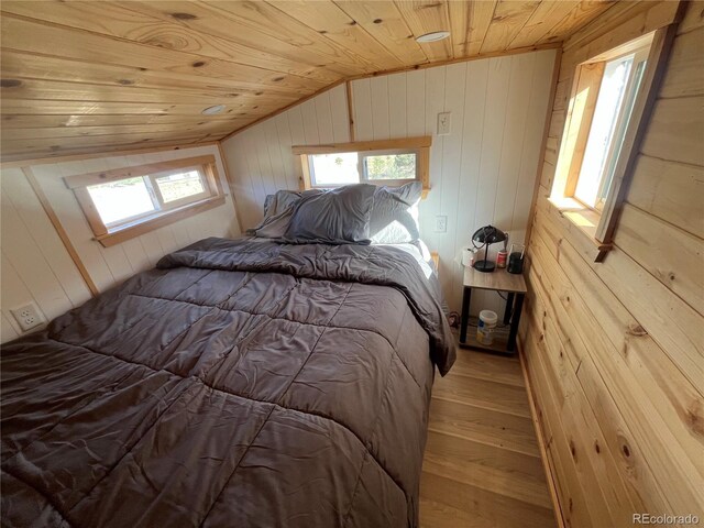 33077 US Highway 24, Buena Vista, CO 81211 - photo 23