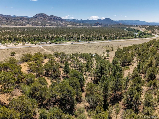 33077 US Highway 24, Buena Vista, CO 81211 - photo 32