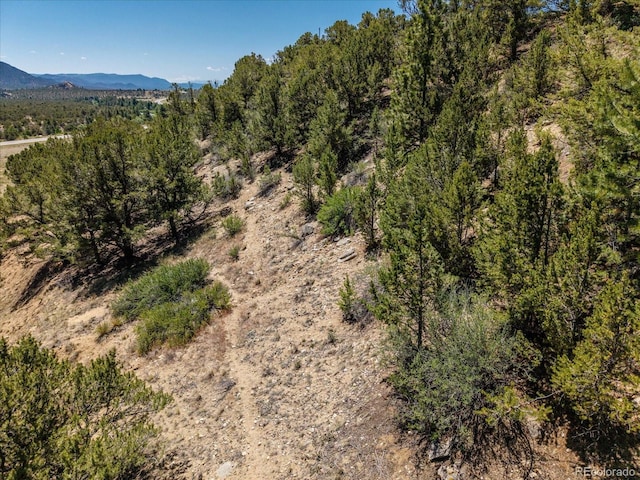 33077 US Highway 24, Buena Vista, CO 81211 - photo 30