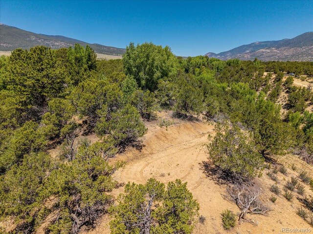 33077 US Highway 24, Buena Vista, CO 81211 - photo 33