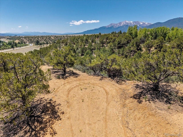33077 US Highway 24, Buena Vista, CO 81211 - photo 34