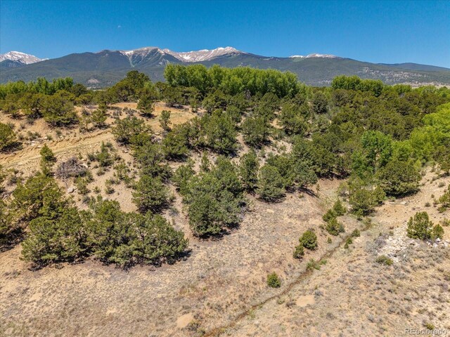 33077 US Highway 24, Buena Vista, CO 81211 - photo 38