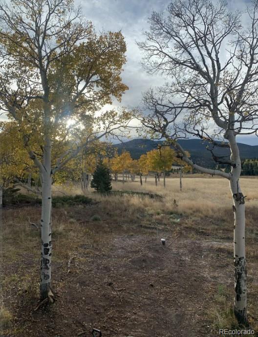 2921 Petito Dr, Fort Garland, CO 81133 - photo 14