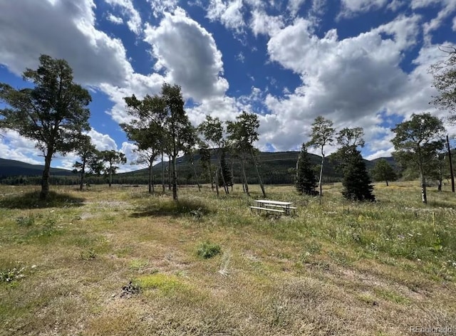 2921 Petito Dr, Fort Garland, CO 81133 - photo 17