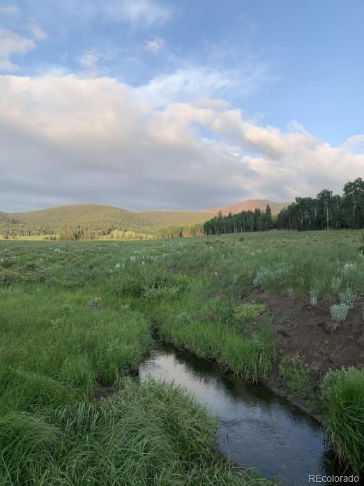 2921 Petito Dr, Fort Garland, CO 81133 - photo 20