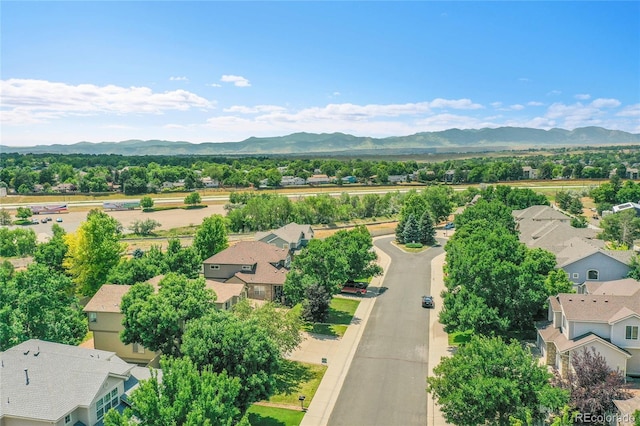 8024 W 95th Way, Broomfield, CO 80021 - photo 26