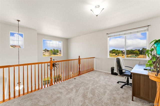 12978 Newport Way, Thornton, CO 80602 - office area with carpet floors and baseboards