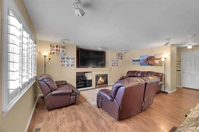 living area featuring a fireplace, wood finished floors, and a wealth of natural light