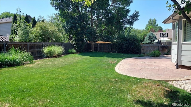 14558 Vine St, Thornton, CO 80602 - fenced backyard featuring a patio