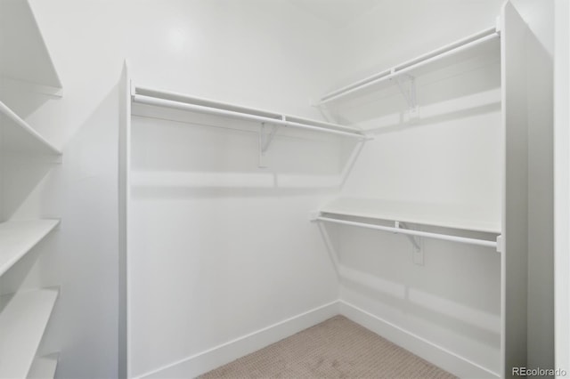 spacious closet featuring light colored carpet