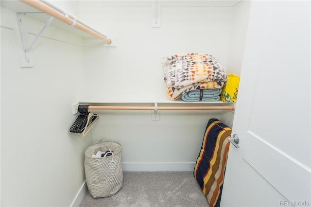 2876 W 53rd Ave Unit 106, Denver, CO 80221 - spacious closet with carpet floors