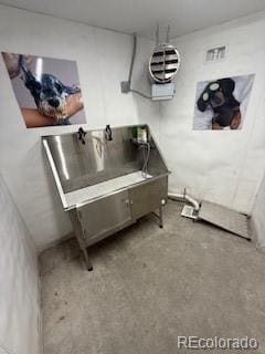 2876 W 53rd Ave Unit 106, Denver, CO 80221 - miscellaneous room with pet washing area and carpet flooring
