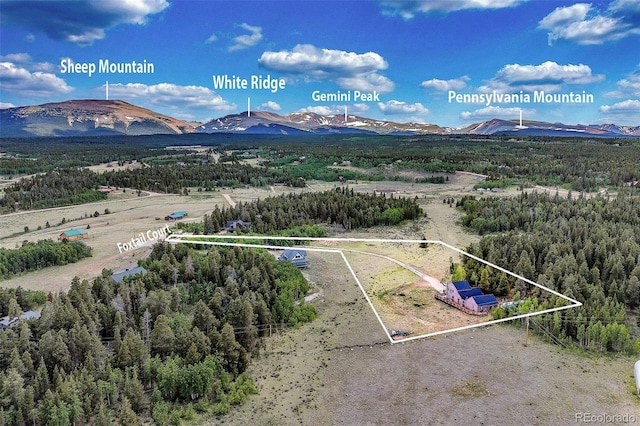 237 Foxtail Ct, Fairplay, CO 80440 - view of property location with property boundaries highlighted and a mountainous background