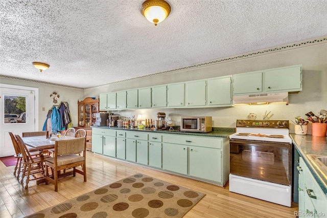 237 Foxtail Ct, Fairplay, CO 80440 - kitchen featuring electric range, under cabinet range hood, a textured ceiling, light wood-type flooring, and green cabinets
