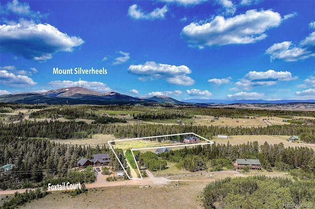 237 Foxtail Ct, Fairplay, CO 80440 - mountain view