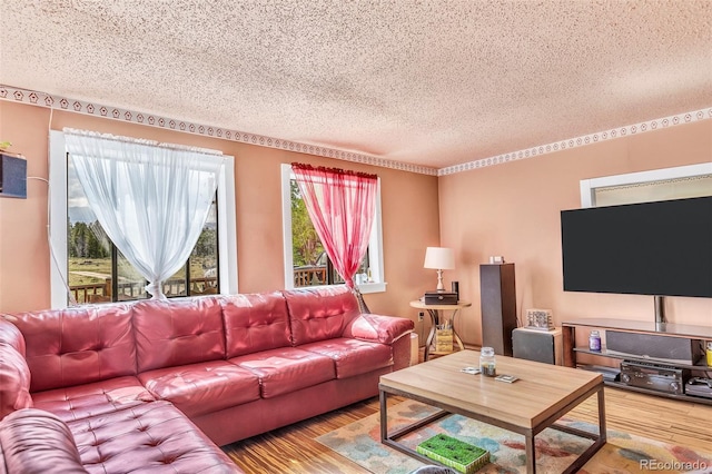 237 Foxtail Ct, Fairplay, CO 80440 - living area featuring a textured ceiling and wood finished floors