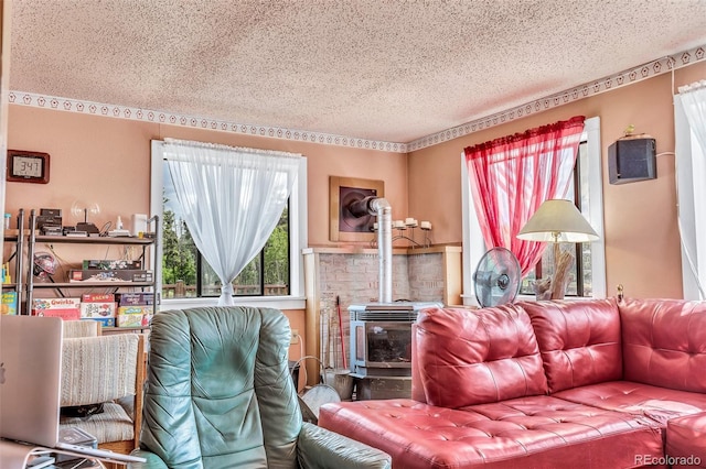 237 Foxtail Ct, Fairplay, CO 80440 - living area featuring a wood stove and a textured ceiling