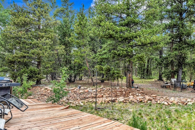 237 Foxtail Ct, Fairplay, CO 80440 - view of deck