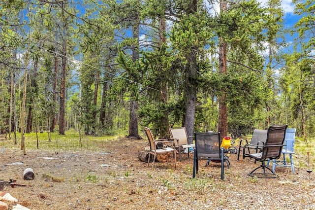 237 Foxtail Ct, Fairplay, CO 80440 - view of yard with a view of trees