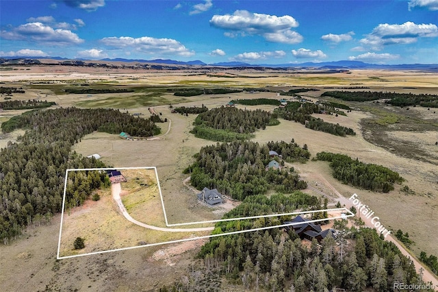 237 Foxtail Ct, Fairplay, CO 80440 - aerial view of sparsely populated area with property boundaries highlighted and a mountain backdrop