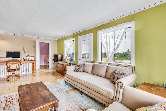 237 Foxtail Ct, Fairplay, CO 80440 - living area featuring a textured ceiling and an office area