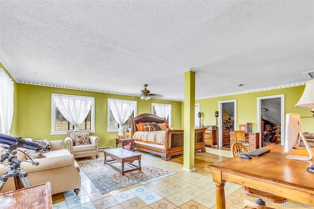 237 Foxtail Ct, Fairplay, CO 80440 - bedroom featuring multiple windows, a textured ceiling, a baseboard heating unit, and a walk in closet