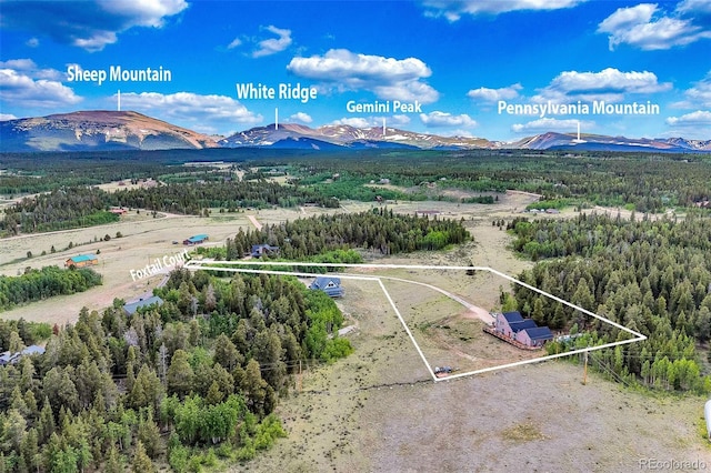 237 Foxtail Ct, Fairplay, CO 80440 - view of property location with property parcel outlined and a mountain backdrop