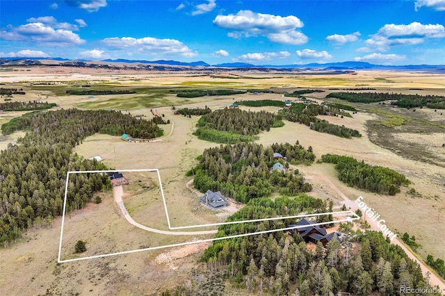 237 Foxtail Ct, Fairplay, CO 80440 - view of rural area with property parcel outlined and a mountain backdrop