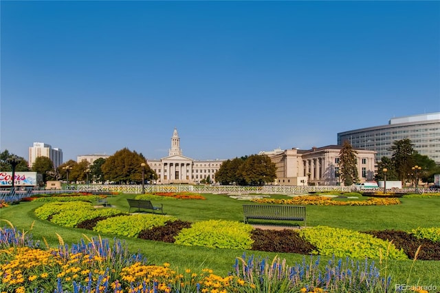 view of community with a lawn