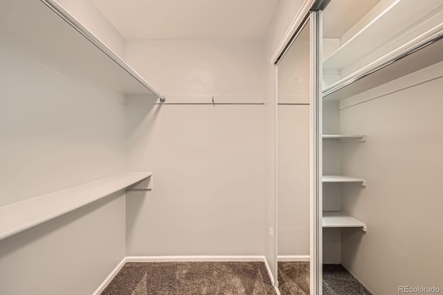 1273 S Jackson St, Denver, CO 80210 - photo 19