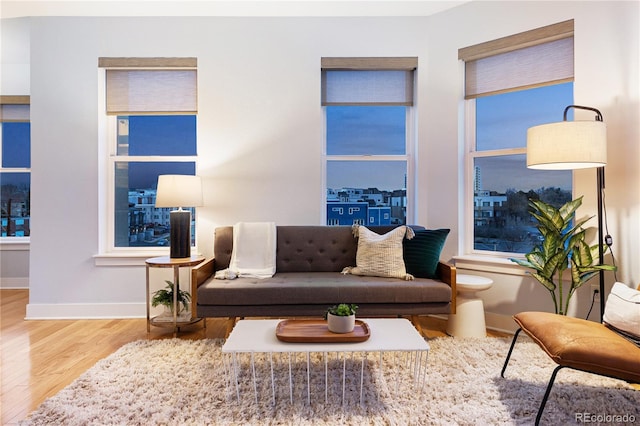 living area featuring baseboards and wood finished floors