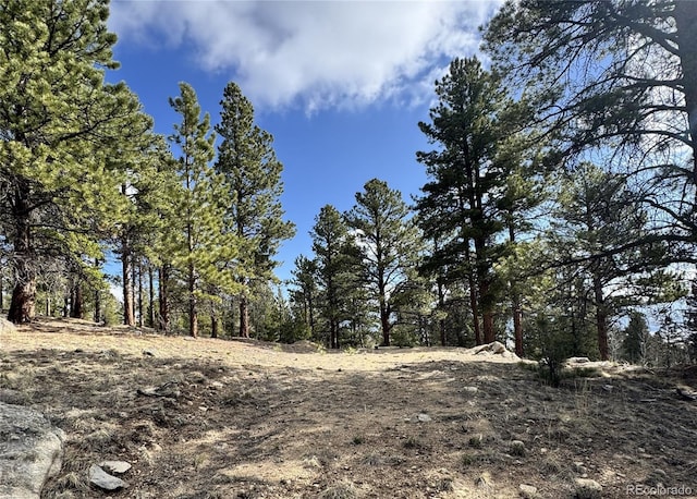 30317 Aspen Turn, Buena Vista, CO 81211
