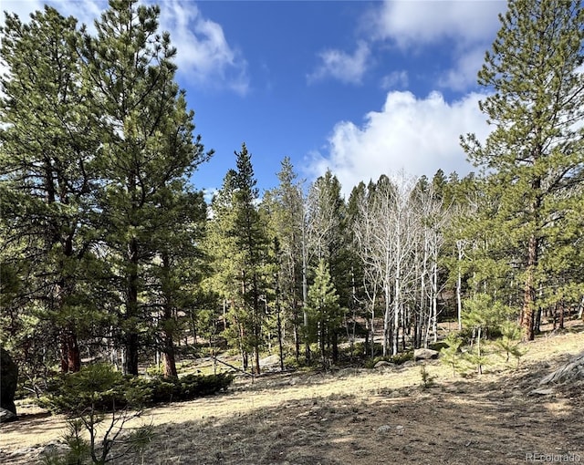 30317 Aspen Turn, Buena Vista, CO 81211