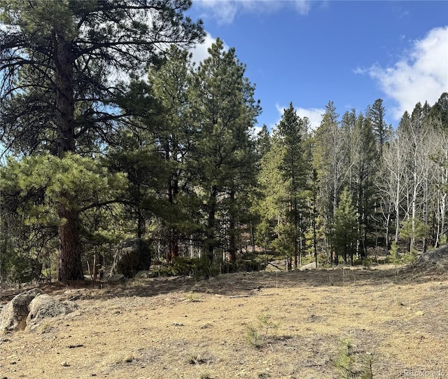 30317 Aspen Turn, Buena Vista, CO 81211