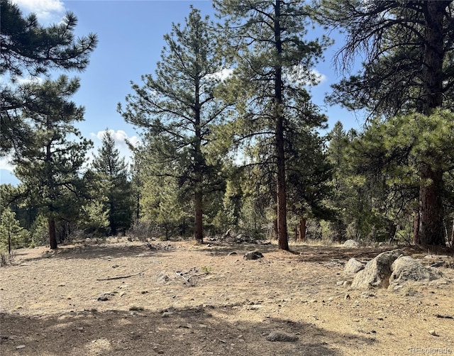 30317 Aspen Turn, Buena Vista, CO 81211