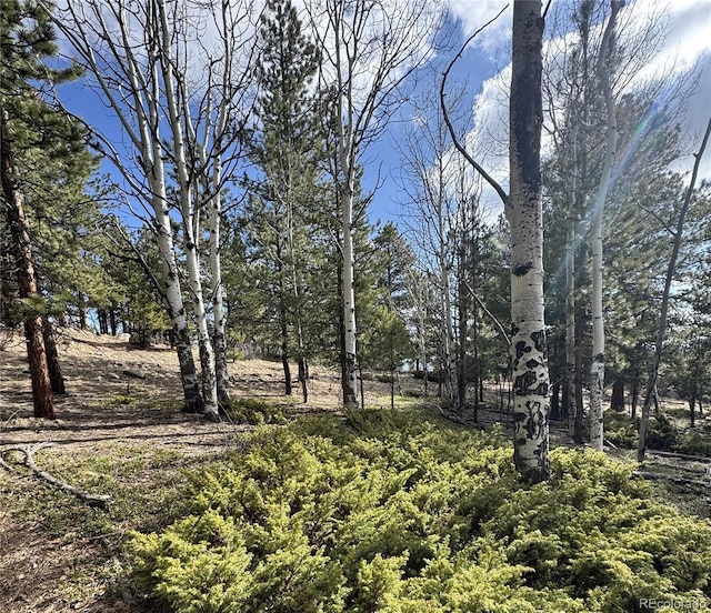 30317 Aspen Turn, Buena Vista, CO 81211