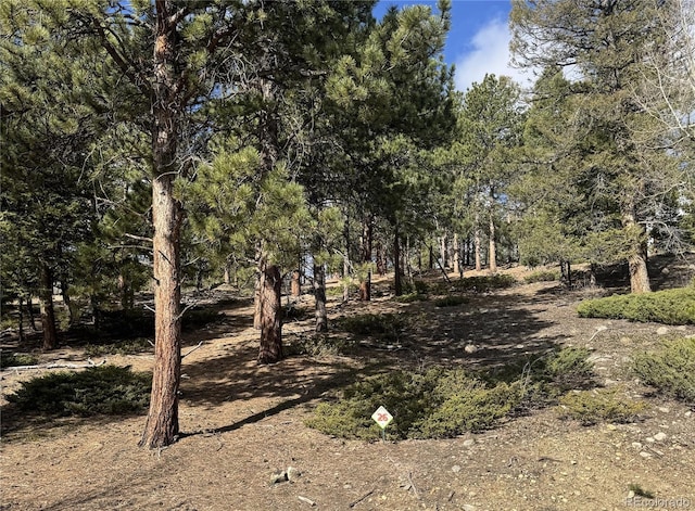 30317 Aspen Turn, Buena Vista, CO 81211
