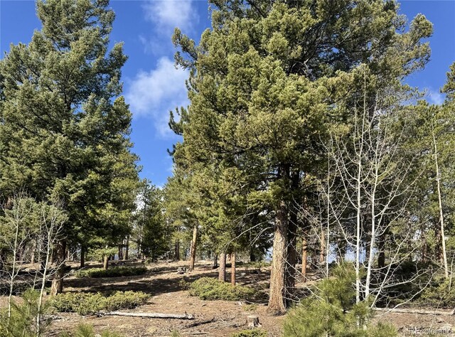 30317 Aspen Turn, Buena Vista, CO 81211