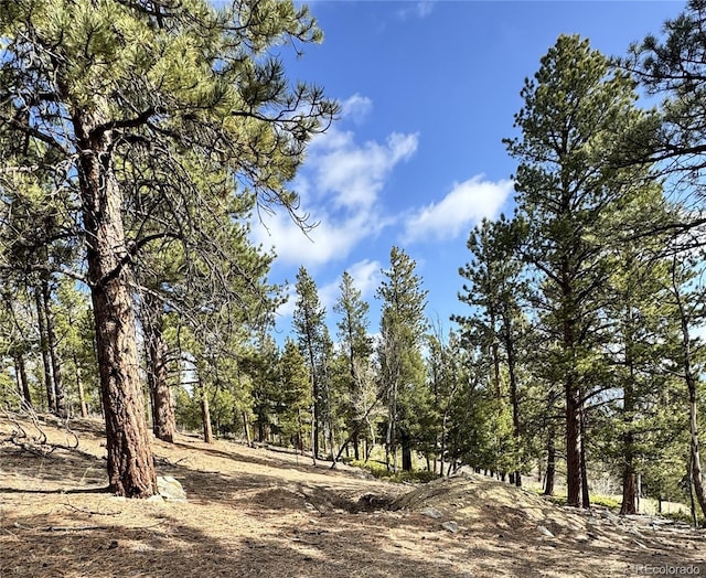 30317 Aspen Turn, Buena Vista, CO 81211