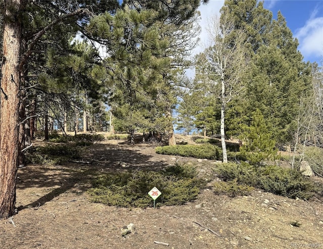 30317 Aspen Turn, Buena Vista, CO 81211