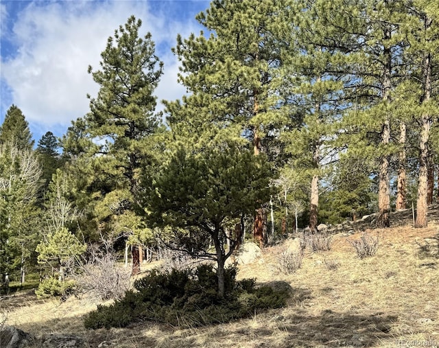 30317 Aspen Turn, Buena Vista, CO 81211