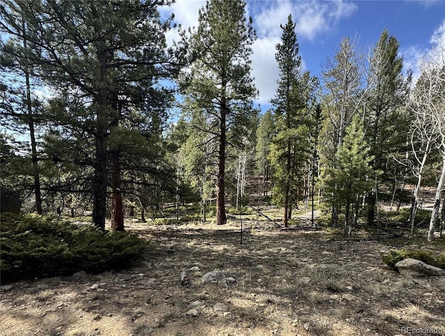 30317 Aspen Turn, Buena Vista, CO 81211
