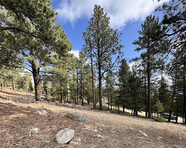 30317 Aspen Turn, Buena Vista, CO 81211