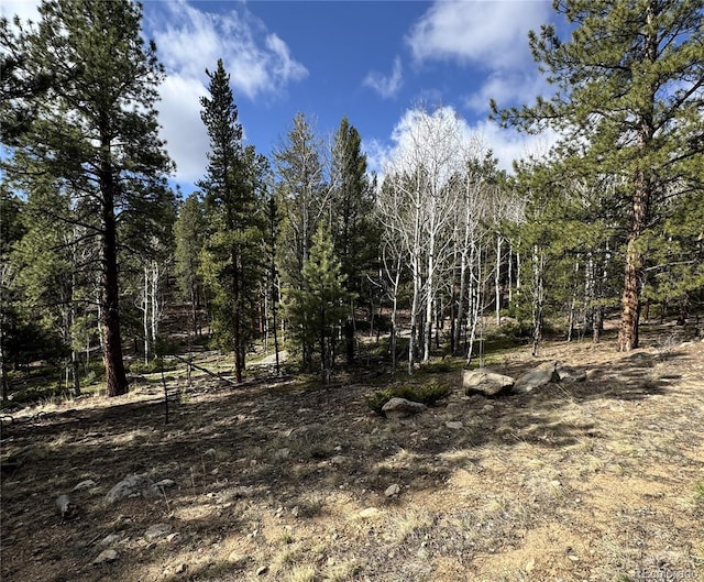 30317 Aspen Turn, Buena Vista, CO 81211