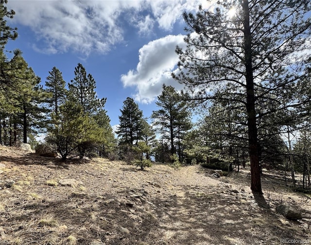 30317 Aspen Turn, Buena Vista, CO 81211